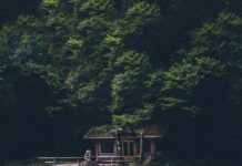 Major Network is Anouncing Another Modelling TV Show This Fall