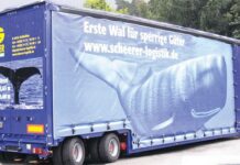 Meusburger 2-Achs-Tiefbett-Sattelauflieger mit Schiebeplane, verbreiterbares Dach + Heckportal